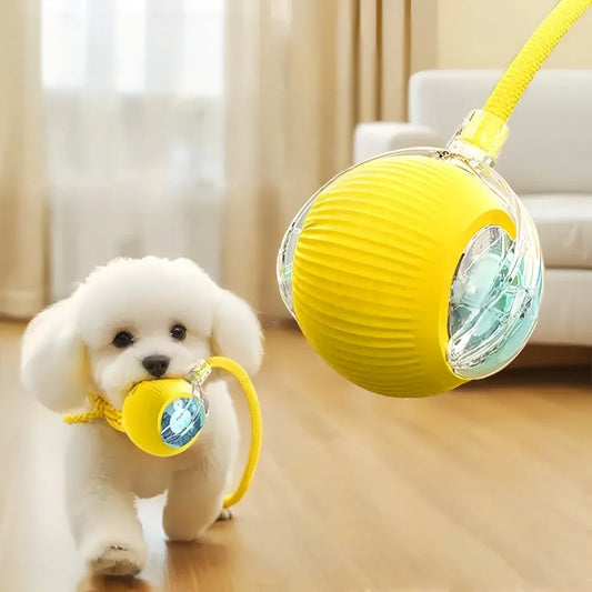 Pet Rolling Ball