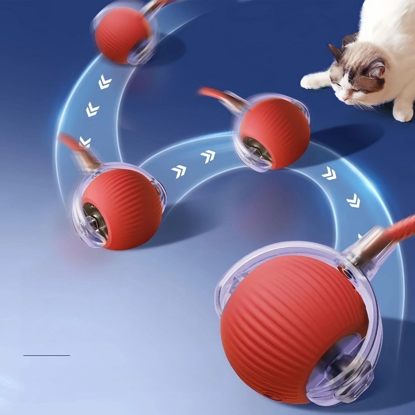 Pet Rolling Ball
