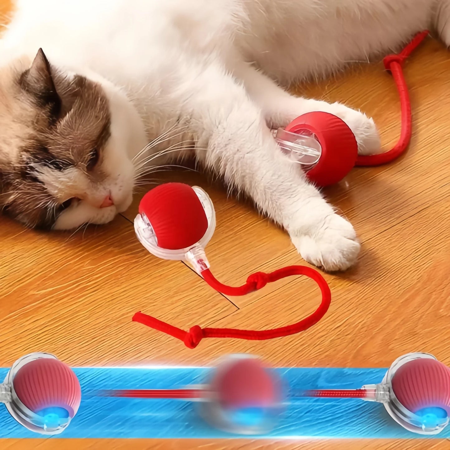 Pet Rolling Ball