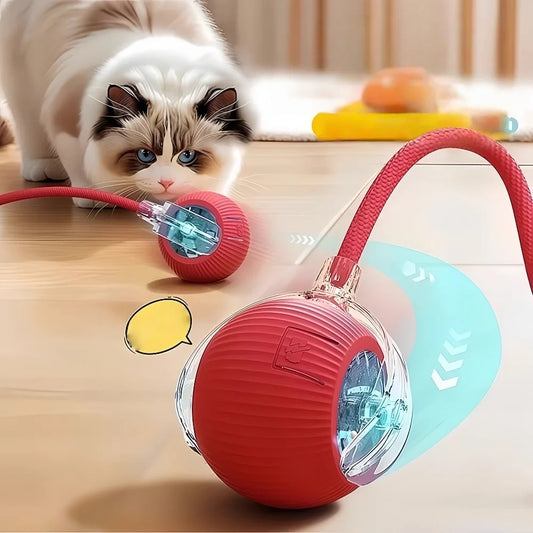 Pet Rolling Ball