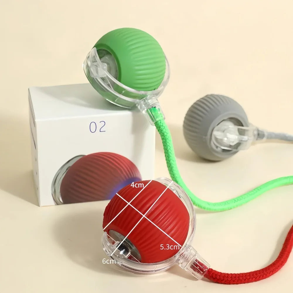 Pet Rolling Ball