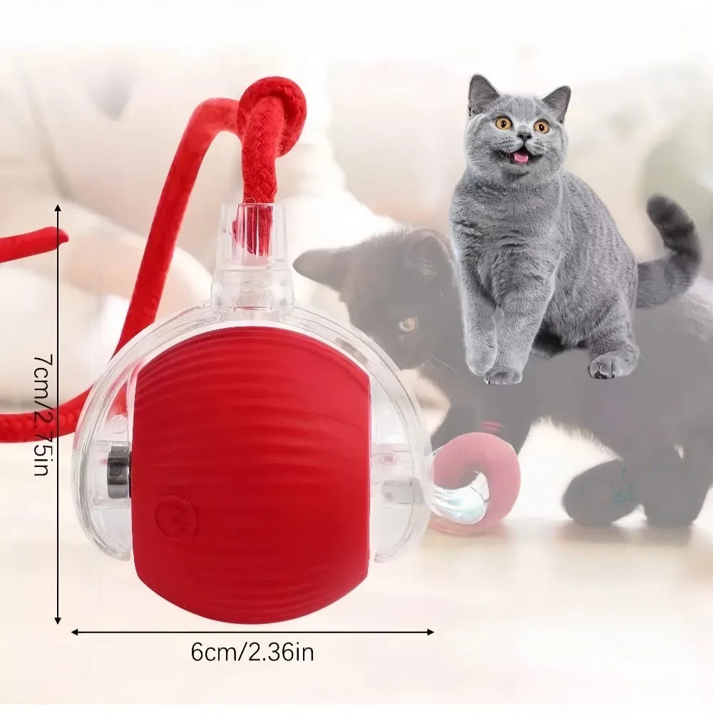 Pet Rolling Ball