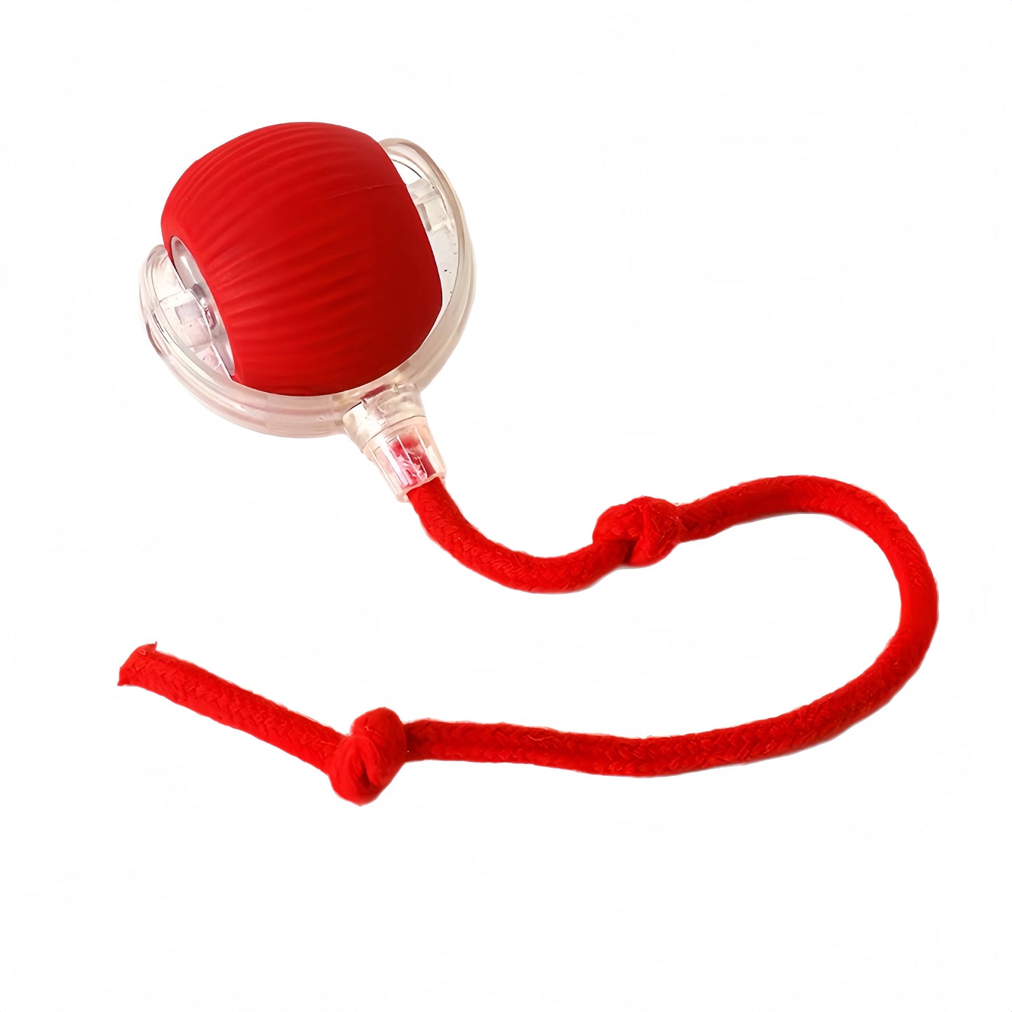 Pet Rolling Ball