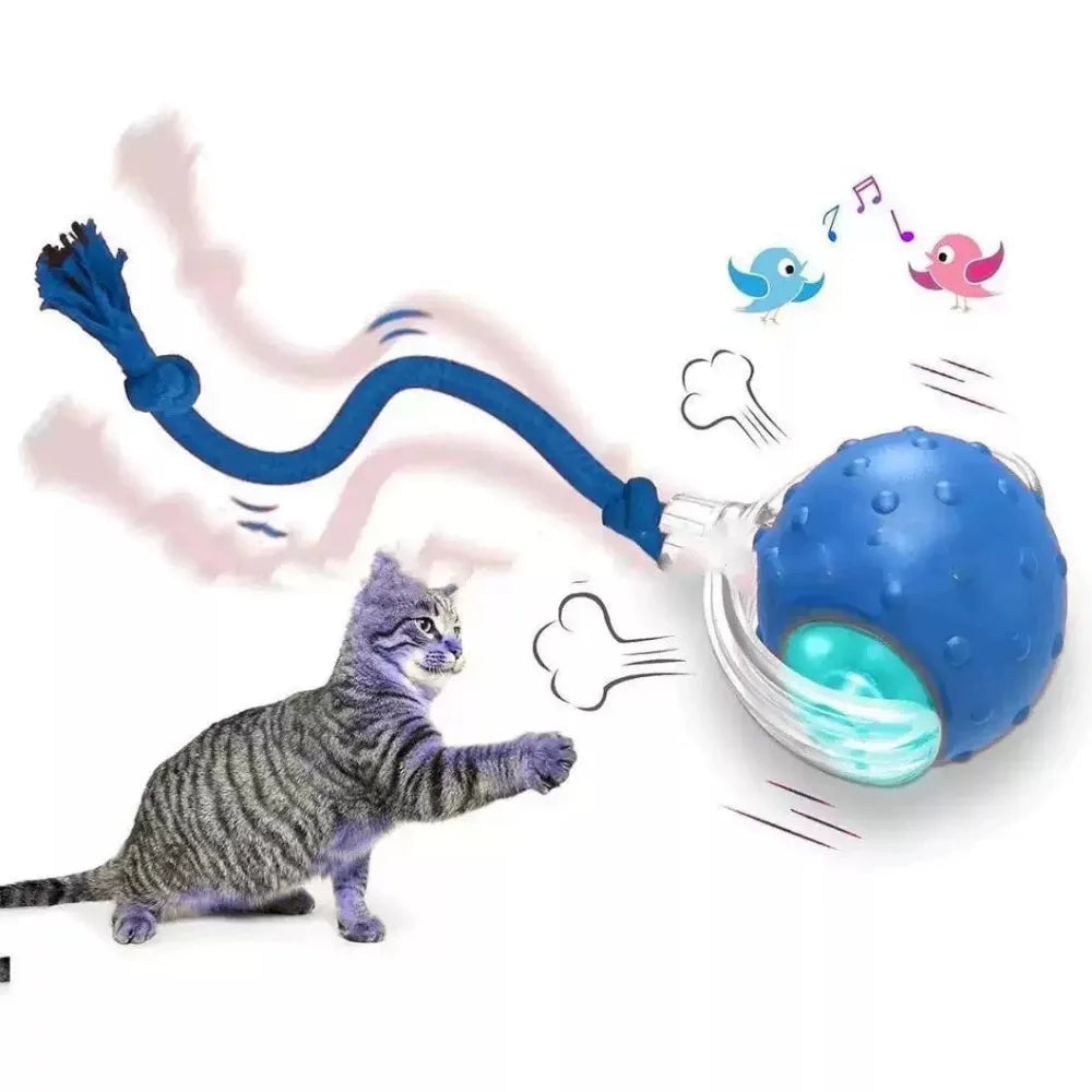 Pet Rolling Ball